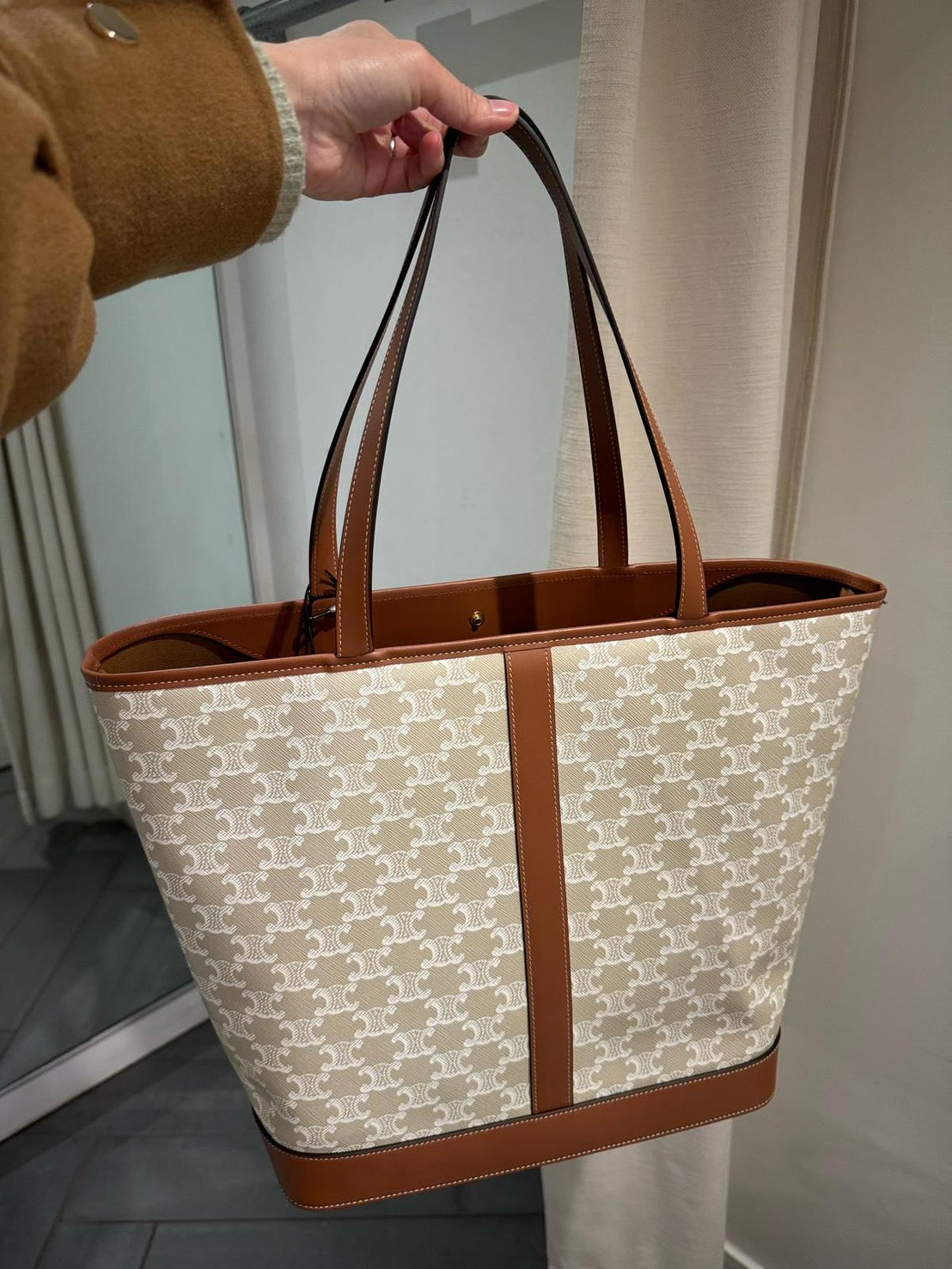 Celine 中型 Triomphe 帆布和小牛皮水桶包