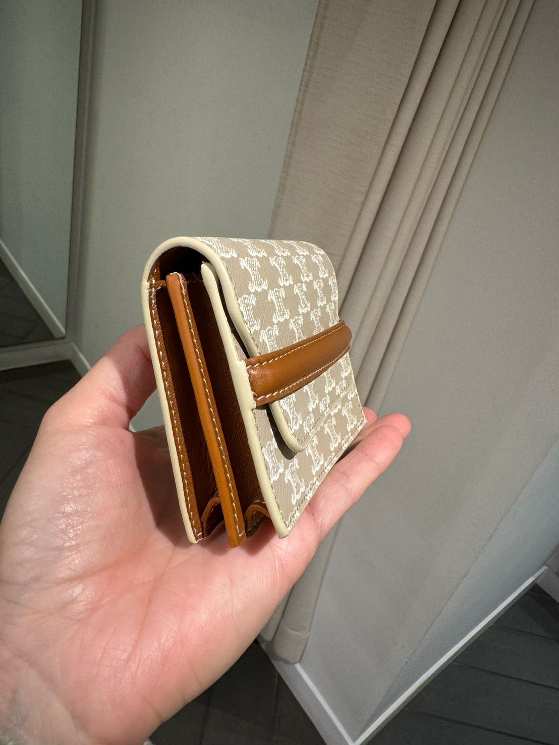 CELINE Triomphe 帆布名片夾