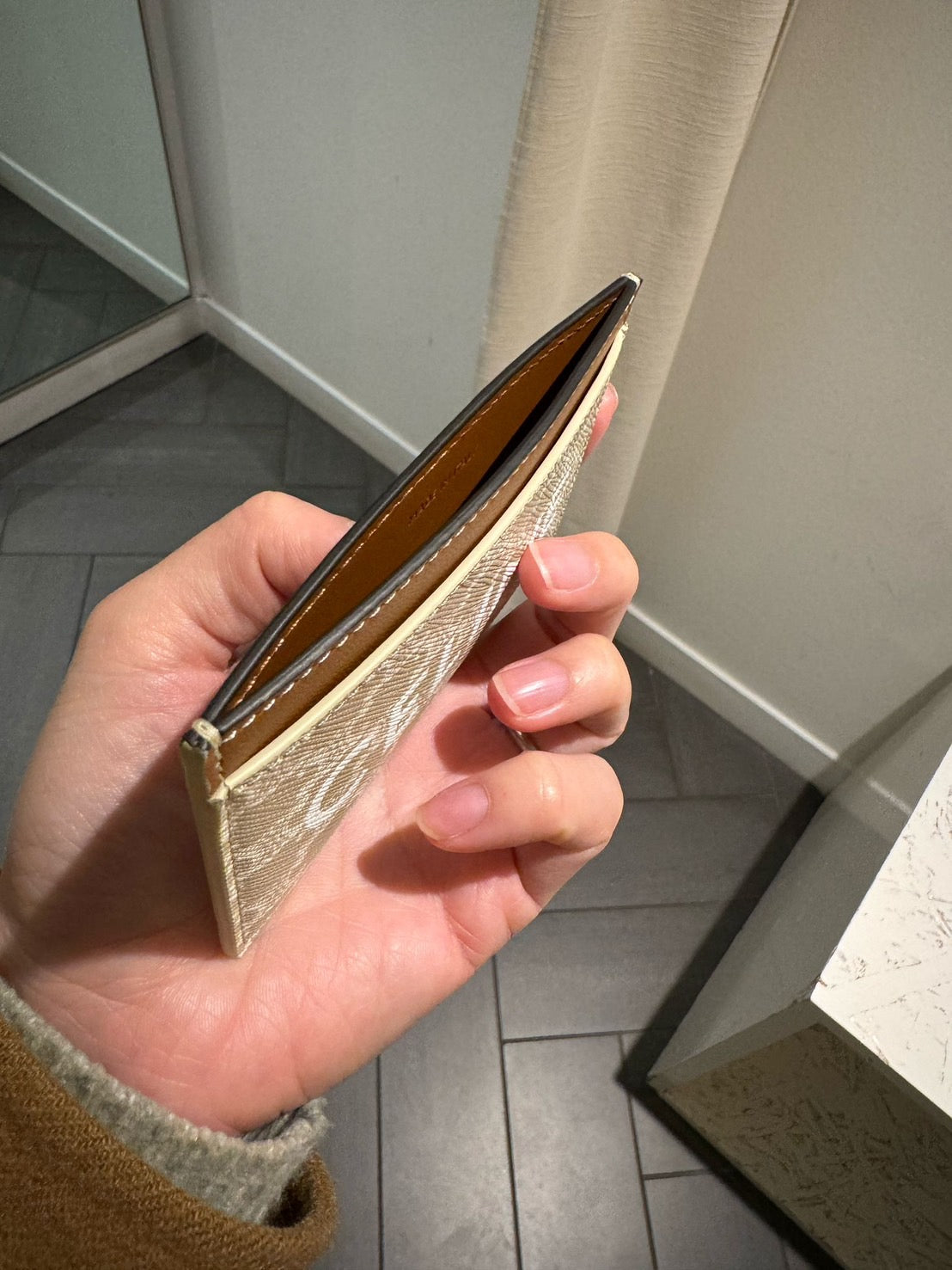 Celine Triomphe 帆布印花設計的卡包